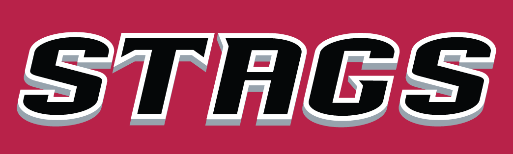 Fairfield Stags 2002-Pres Wordmark Logo v4 diy iron on heat transfer